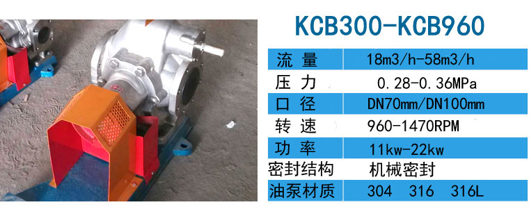 KCB300-KCB960不锈钢齿轮油泵 KCB300-KCB960不锈钢齿轮泵